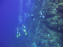 Divers IMG 7315